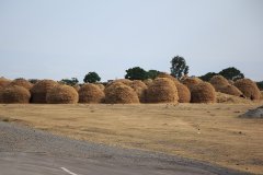 05-A lot of hay